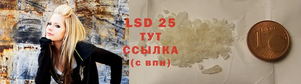 ГАЛЛЮЦИНОГЕННЫЕ ГРИБЫ Зеленодольск