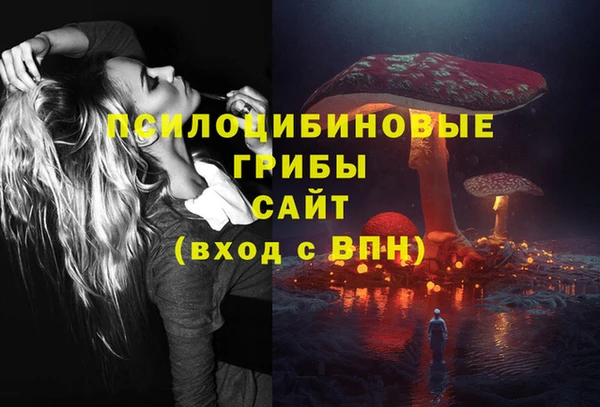 ГАЛЛЮЦИНОГЕННЫЕ ГРИБЫ Зеленодольск