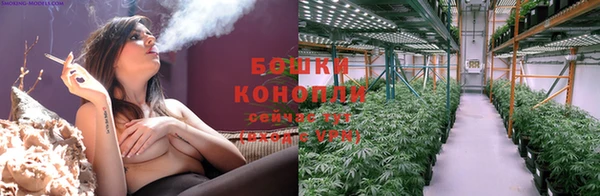 ГАЛЛЮЦИНОГЕННЫЕ ГРИБЫ Зеленодольск