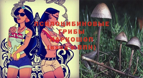 ГАЛЛЮЦИНОГЕННЫЕ ГРИБЫ Зеленодольск