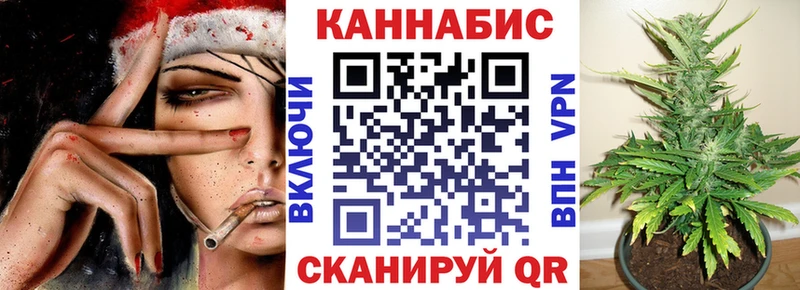 Купить  Дмитриев  МАРИХУАНА ГИДРОПОН 